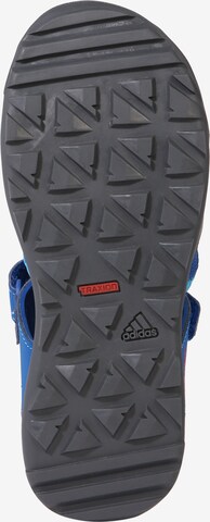 Chaussure de sport 'Captain Toey K' ADIDAS PERFORMANCE en bleu : en bas