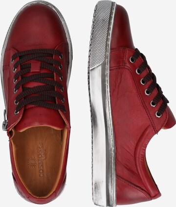 COSMOS COMFORT Sneakers laag in Rood