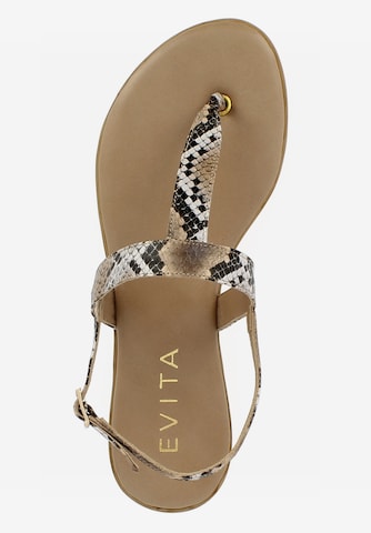 EVITA T-Bar Sandals 'OLIMPIA' in Brown