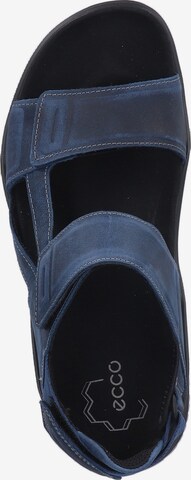 ECCO Hiking Sandals 'X-Trinsic' in Blue