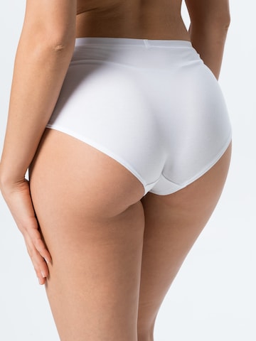 CALIDA Regular Panty in White