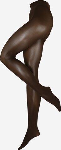 FALKE Fine Tights in Brown: front