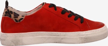 Paul Green Sneakers in Rot