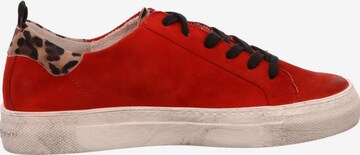 Paul Green Sneakers in Red