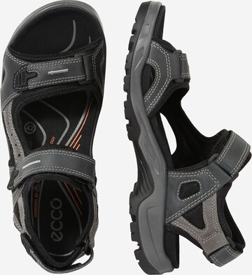 ECCO Hiking Sandals 'Offroad' in Grey