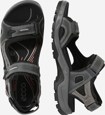 Sandale trekking 'Offroad' de la ECCO pe gri