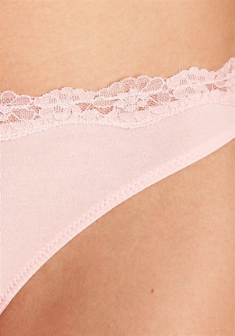 String LASCANA en rose