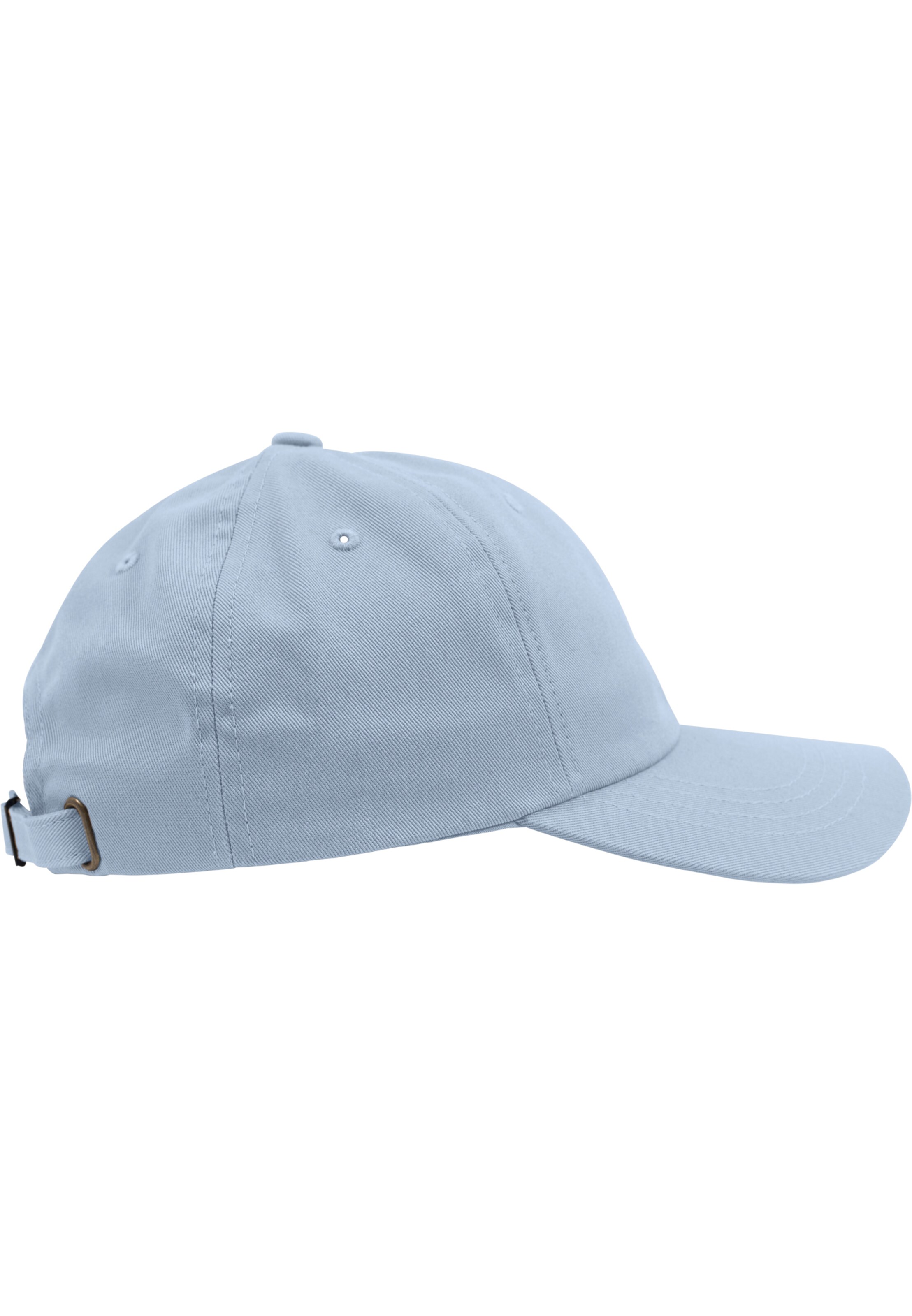 Flexfit Cap in Blue