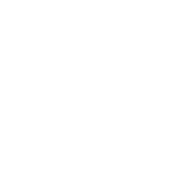 SNOCKS Logo