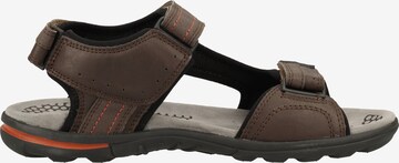 GEOX Pohodni sandali 'U Tevere' | rjava barva