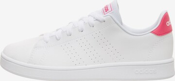 ADIDAS ORIGINALS Sneakers 'Advantage' in White: front
