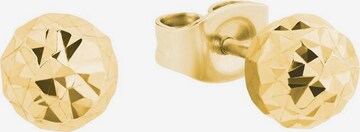 AMOR Paar Ohrstecker »2027700« in Gold: front