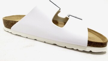 ROHDE Mules in White