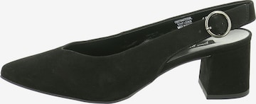 Paul Green Pumps in Schwarz