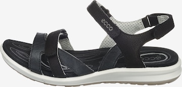 ECCO Pohodni sandali 'Cruise II' | črna barva