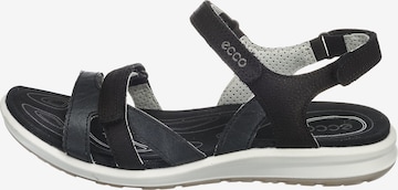 ECCO Sandale 'Cruise II' in Schwarz