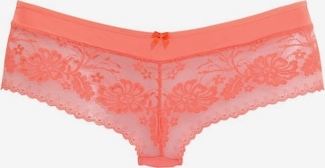 LASCANA Boyshorts in Orange: front