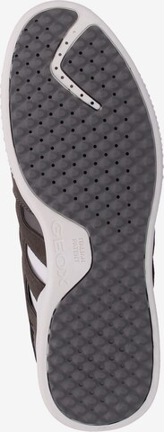 GEOX Sneakers laag 'Snake' in Grijs