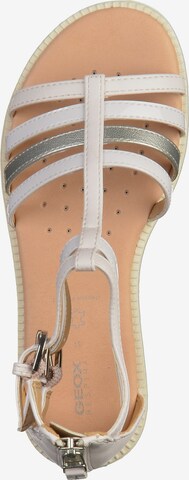 GEOX Sandals 'Karly' in White