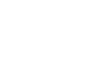N91 Logo