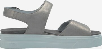 SEMLER Sandals in Grey