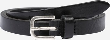 VANZETTI - Cinturón en negro: frente