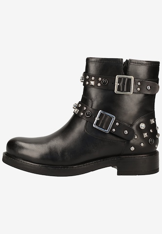 Gino Rossi Boots in Zwart