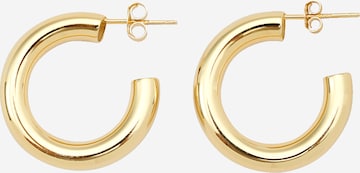 EDITED Earrings 'Katie' in Gold: front