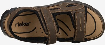 Rieker Hiking Sandals in Brown