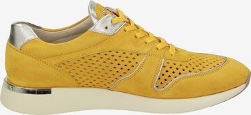 SIOUX Sneakers laag 'Malosika' in Geel