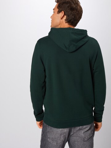 LACOSTE Regular Fit Sweatshirt in Grün: zadná strana