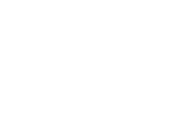ADIDAS SPORTSWEAR Logo