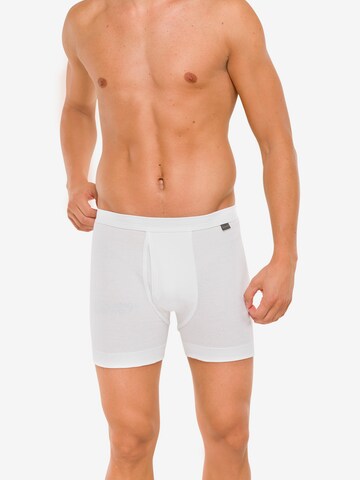 SCHIESSER Boxer shorts ' Essentials' ' in White: front