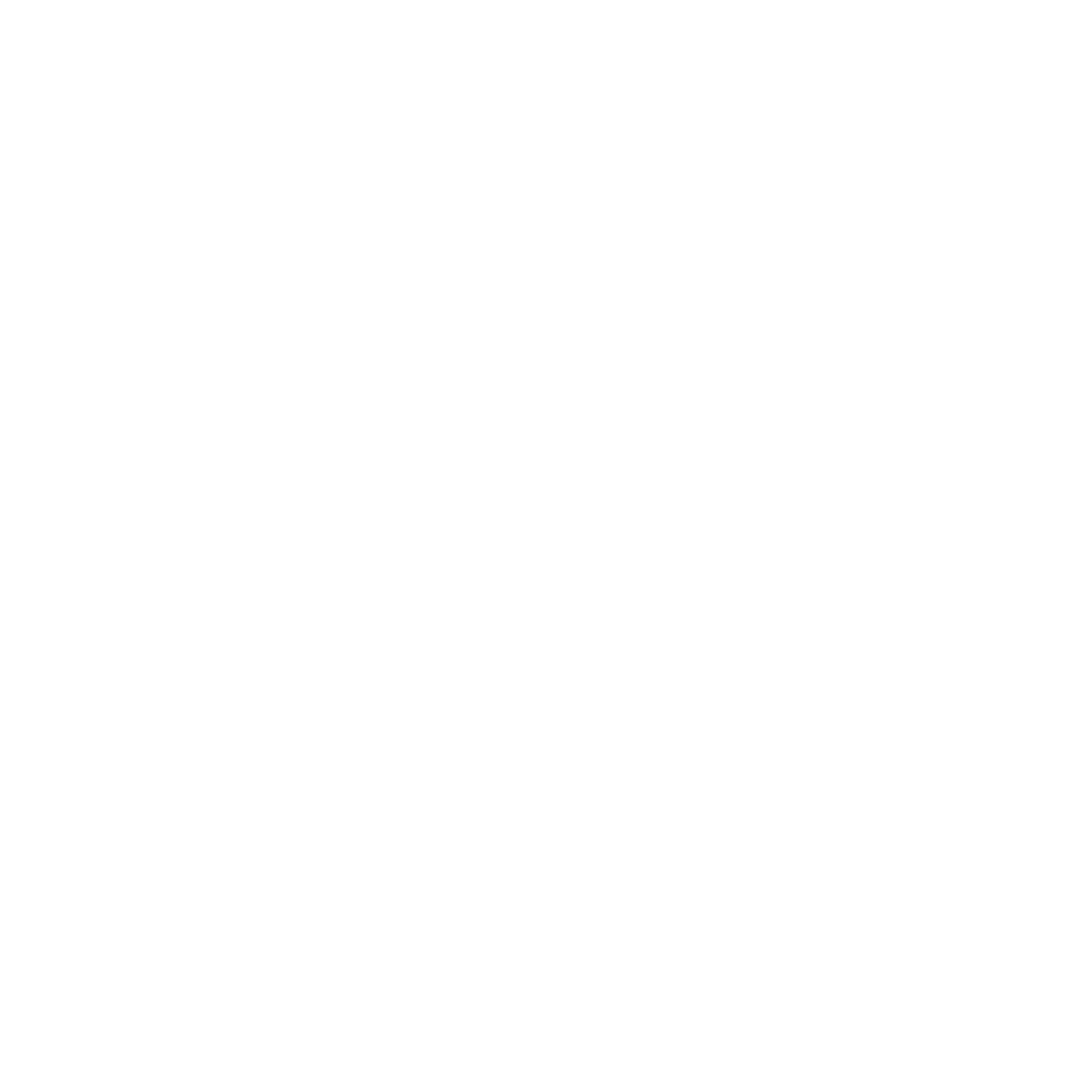 Tommy Sport Logo