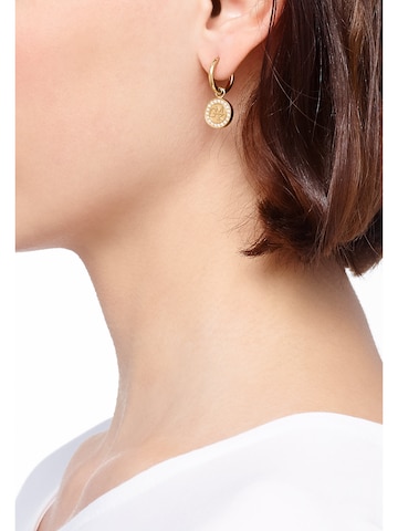 Guido Maria Kretschmer Jewellery Earrings in Gold