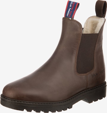 Blue Heeler Chelsea Boots 'Jackaroo' in Brown: front