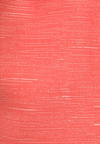 CHIEMSEE Swimming shorts in Orange
