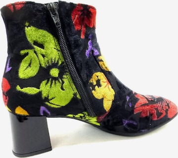 GABOR Ankle Boots in Mixed colors