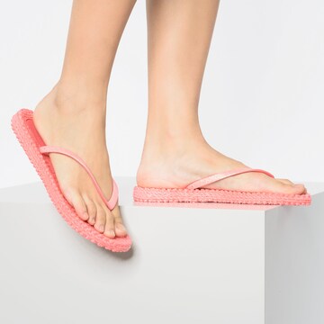 ILSE JACOBSEN Teenslipper 'Cheerful 01' in Rood