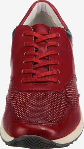 JOSEF SEIBEL Sneaker 'Thaddeus 10 ' in Rot