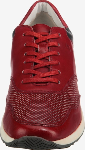 JOSEF SEIBEL Sneaker 'Thaddeus 10 ' in Rot