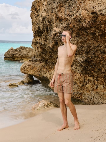 Brown Striped Swimming Shorts