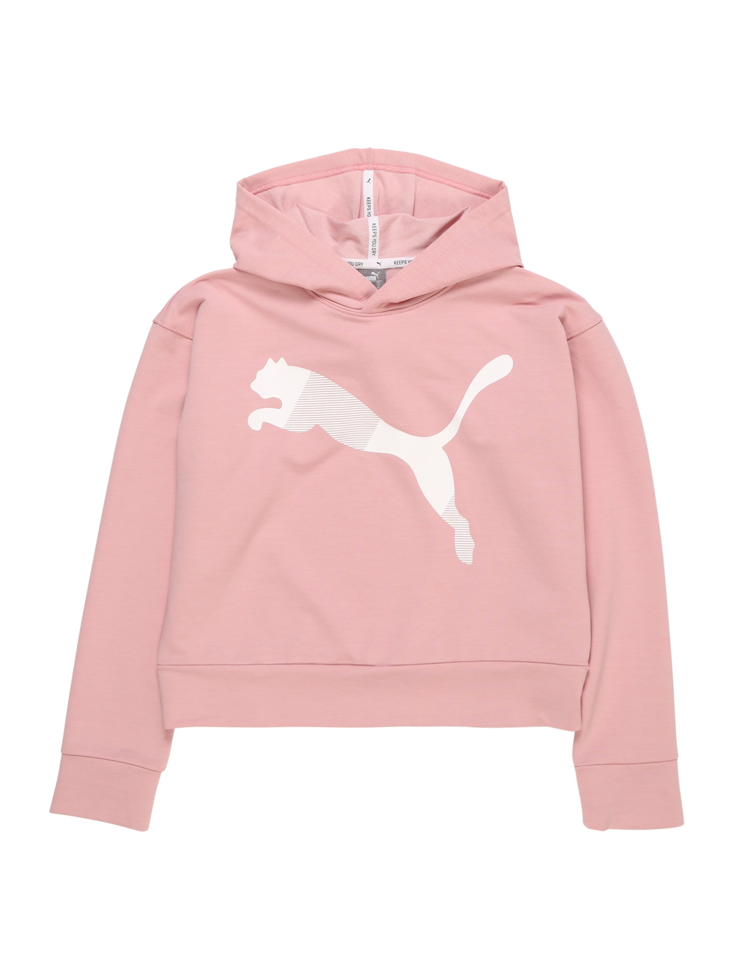 PUMA - Sport-Sweatshirt in rosa