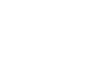ADAX Logo