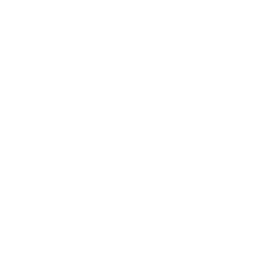 Lindex Logo