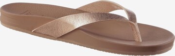 REEF Teenslipper 'Cushion' in Goud