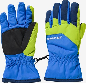 ZIENER Athletic Gloves 'Lando' in Blue: front