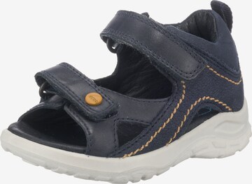 ECCO Sandals & Slippers in Blue: front
