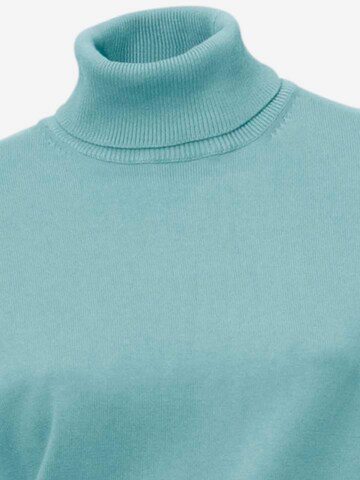 heine Rollkragen-Pullover 'Heine' in Blau