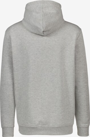 Virtus Sweatshirt in Grey